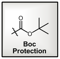 Boc Protection